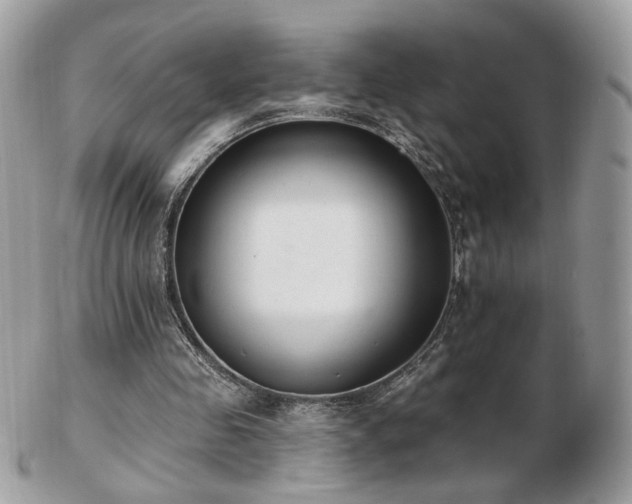 X0000103280341200808291316