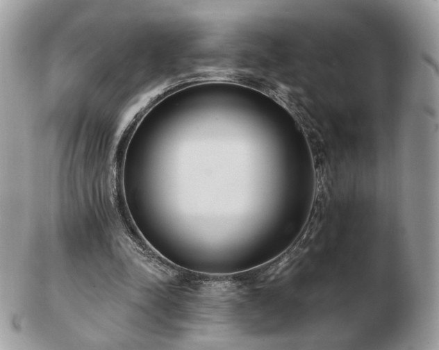 X0000103280342200808291316