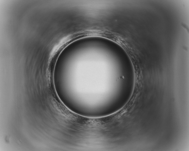 X0000103280343200808291316