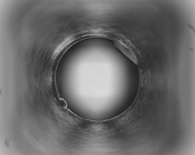 X0000103280344200808291316