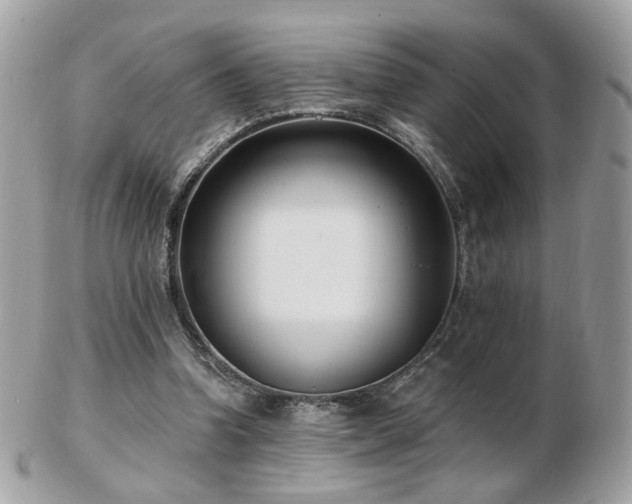 X0000103280346200808291316