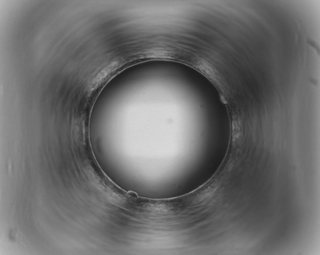 X0000103280349200808291316