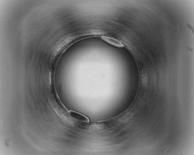 X0000103280350200808291316