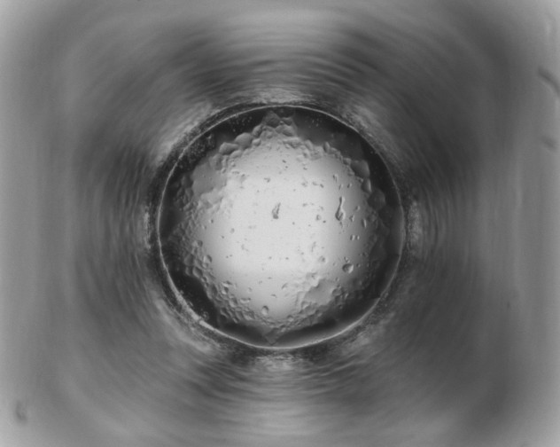 X0000103280351200808291316