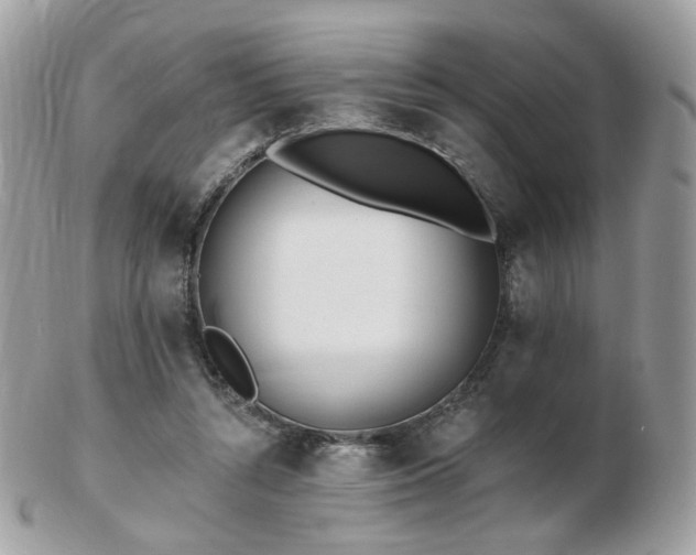 X0000103280352200808291316