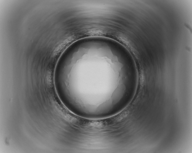 X0000103280353200808291316