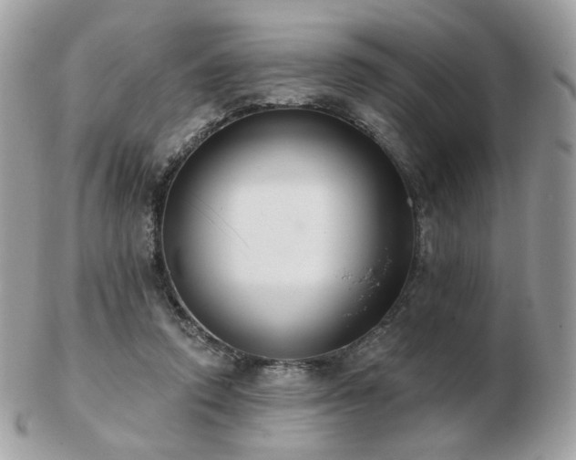 X0000103280354200808291316