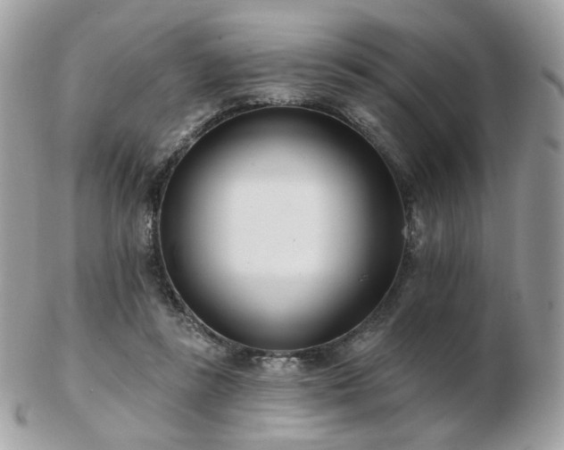 X0000103280355200808291316