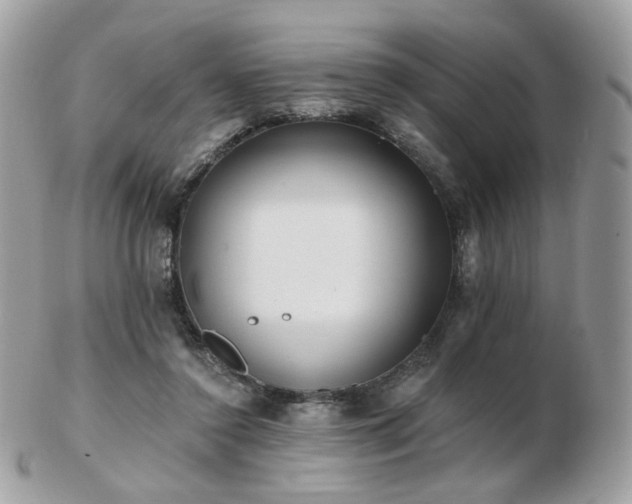 X0000103280356200808291316