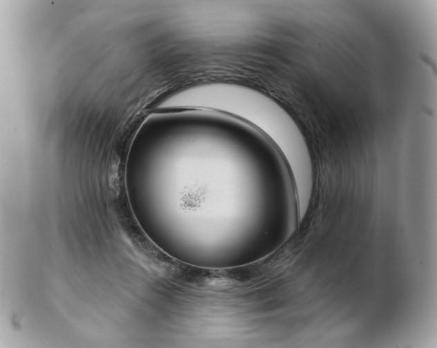 X0000103280360200808291316