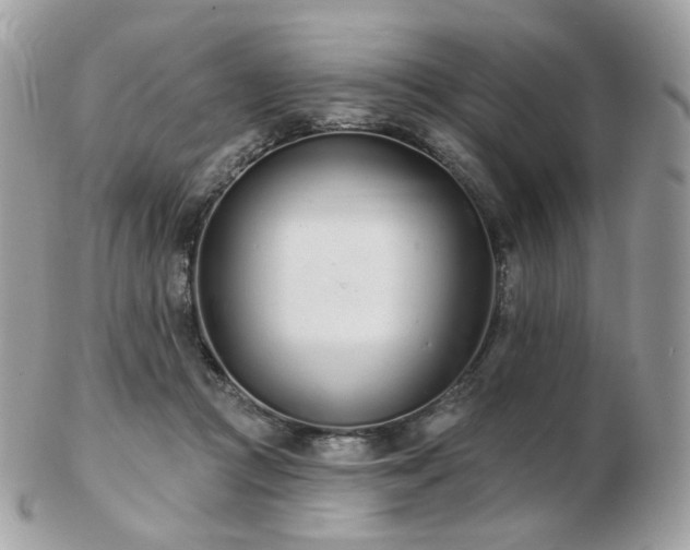 X0000103280361200808291316