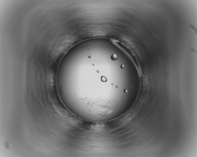 X0000103280362200808291316