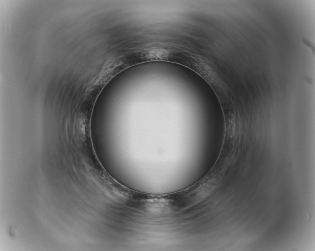 X0000103280363200808291316