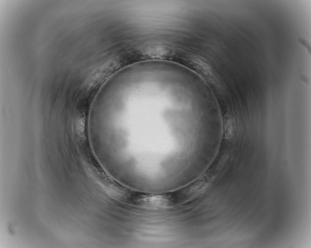 X0000103280365200808291316