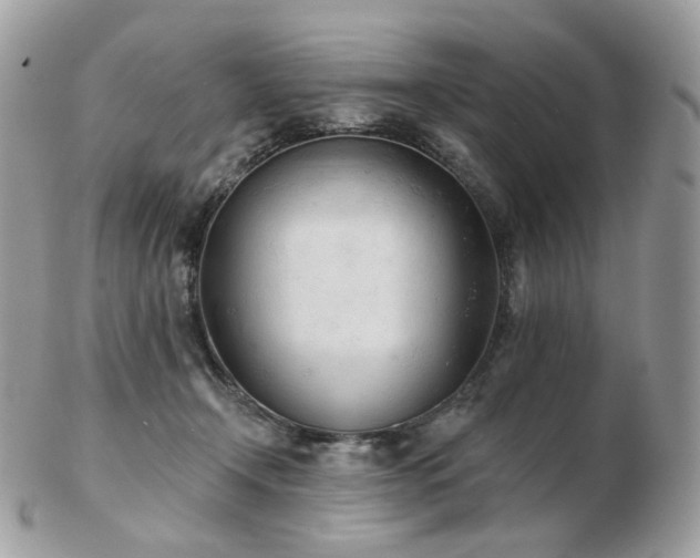 X0000103280366200808291316