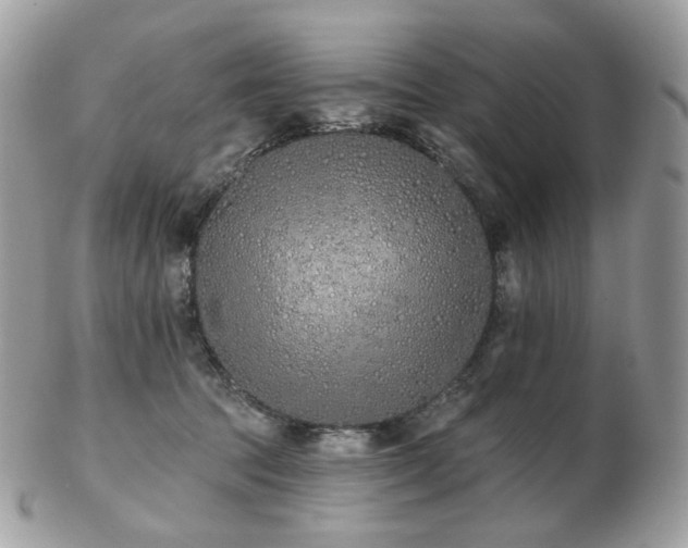 X0000103280369200808291316