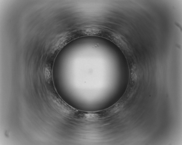 X0000103280371200808291316