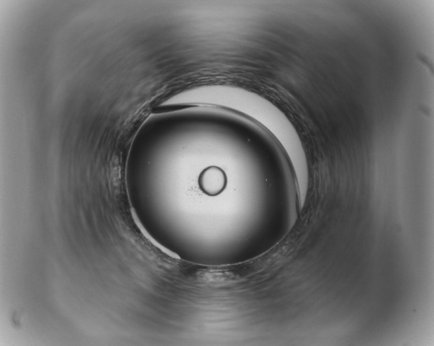 X0000103280372200808291316