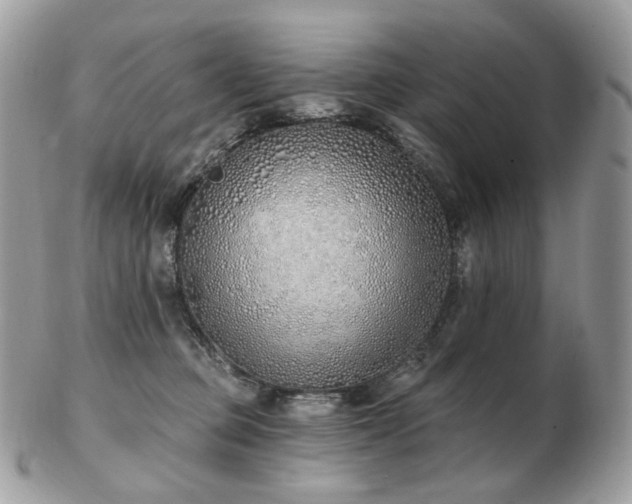 X0000103280373200808291316