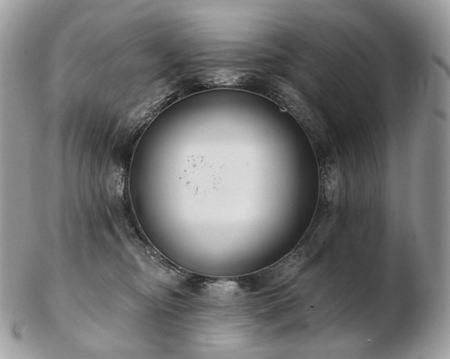 X0000103280374200808291317