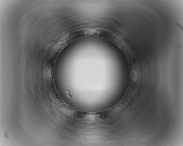 X0000103280375200808291317