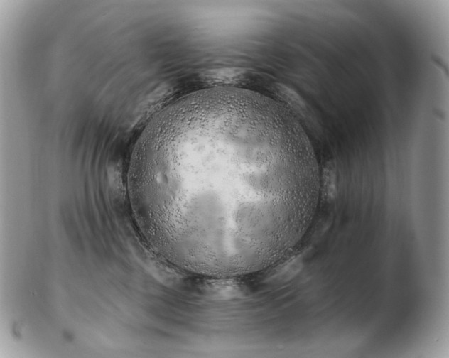 X0000103280377200808291317