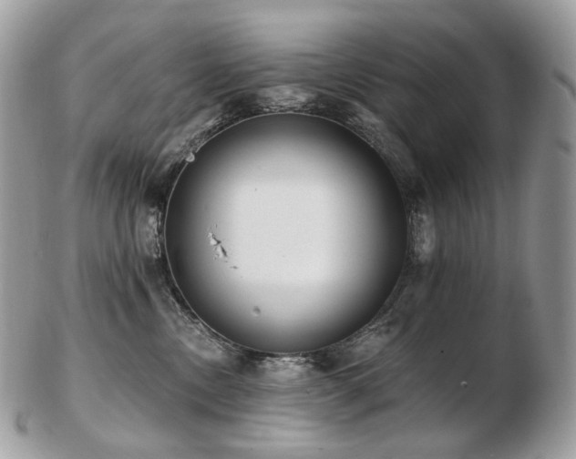 X0000103280378200808291317