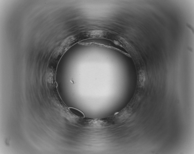 X0000103280379200808291317