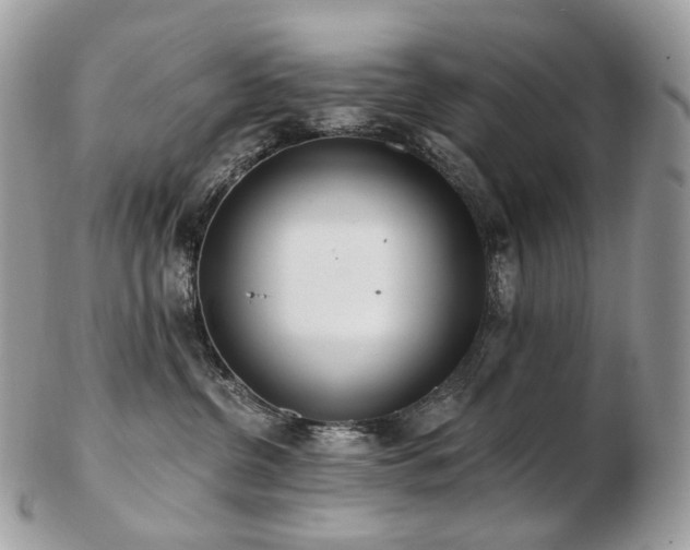 X0000103280380200808291317