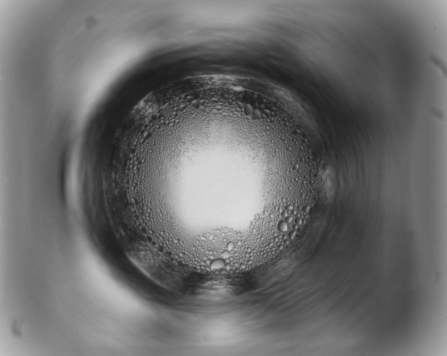 X0000103280381200808291317