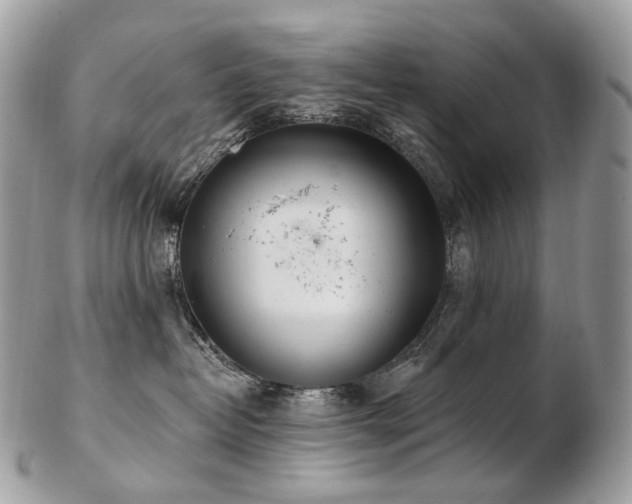 X0000103280382200808291317