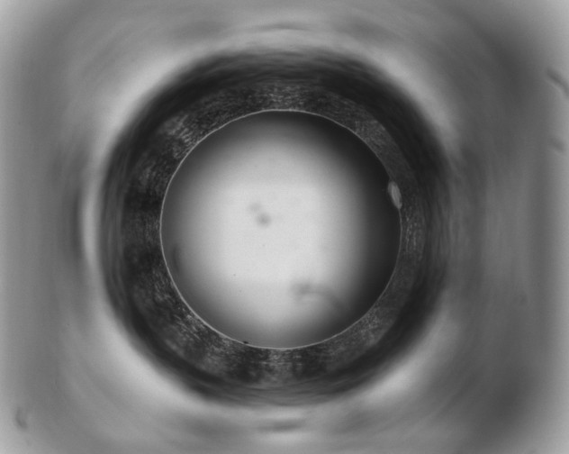 X0000103280383200808291317