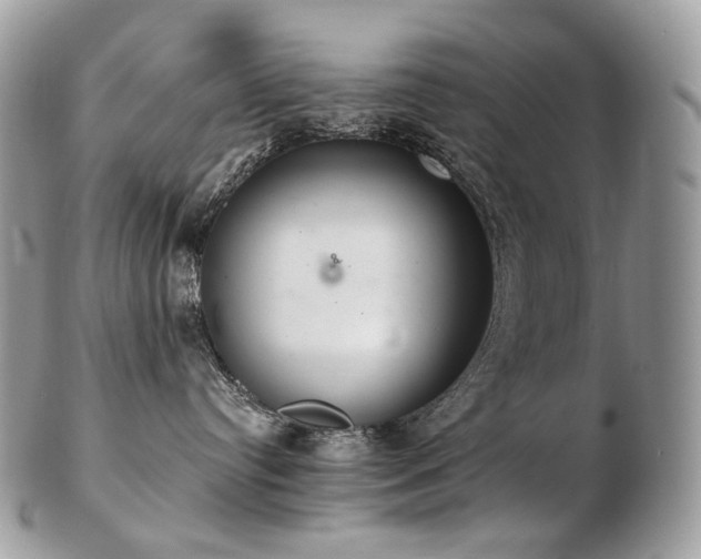 X0000103280384200808291317