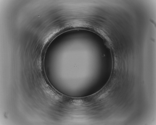 X0000103280391200808291316