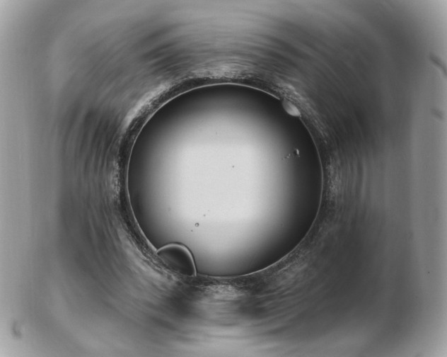 X0000103280392200808291316