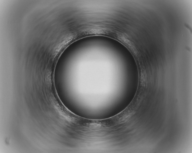 X0000103280394200808291316