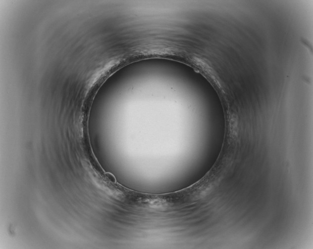 X0000103280395200808291316