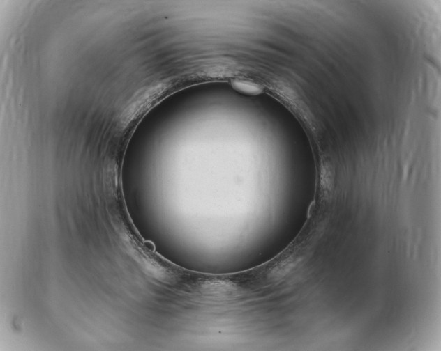 X0000103280397200808291316