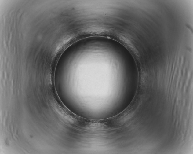 X0000103280399200808291316