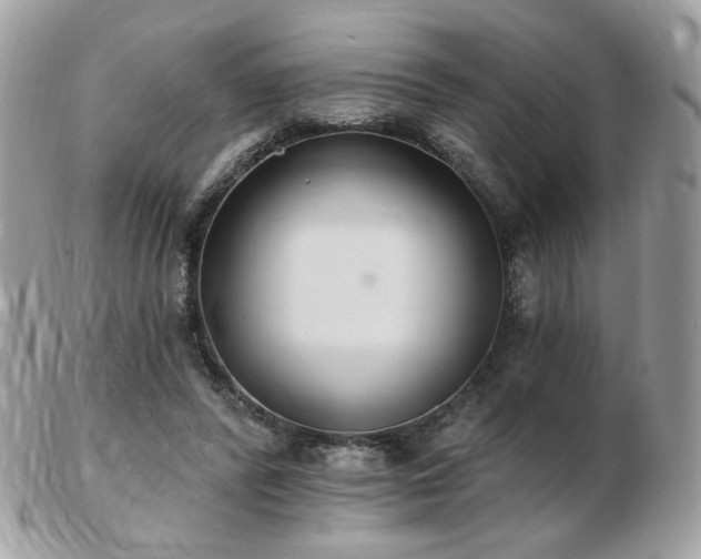 X0000103280400200808291316