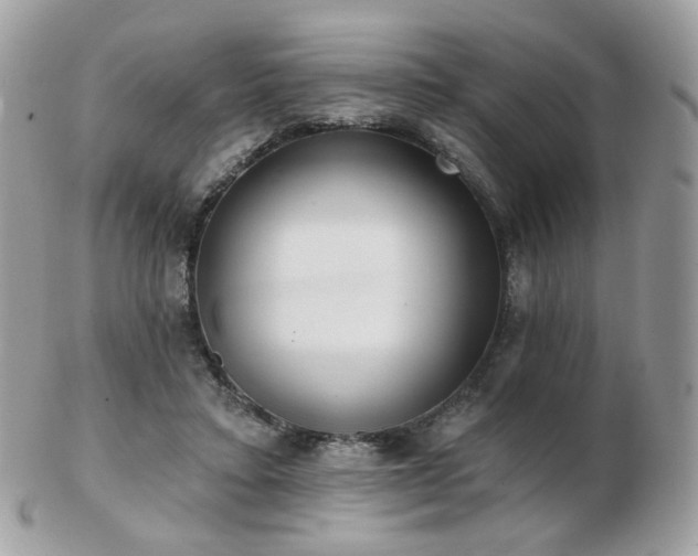 X0000103280403200808291316