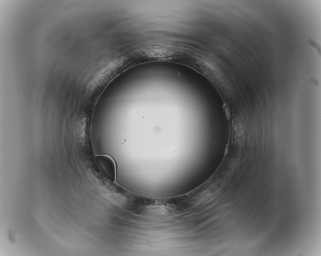 X0000103280404200808291316