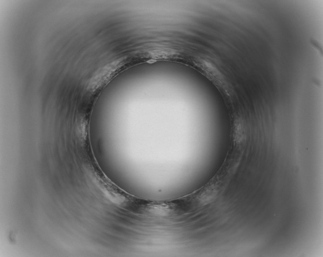 X0000103280405200808291316