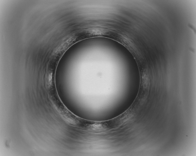 X0000103280406200808291316