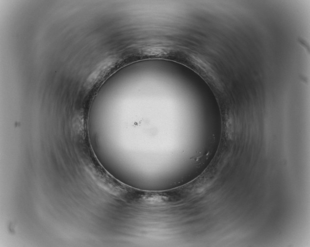 X0000103280407200808291316