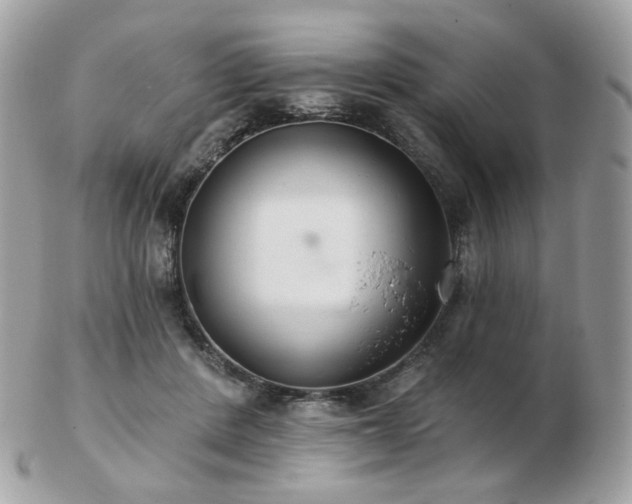 X0000103280408200808291316