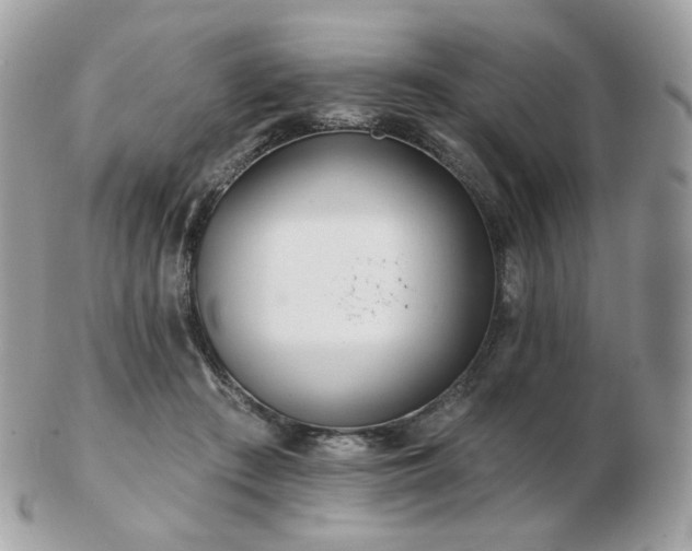 X0000103280409200808291316