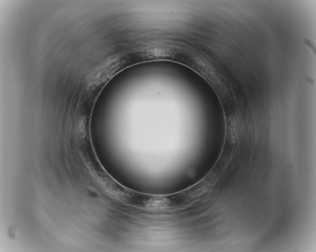 X0000103280410200808291316