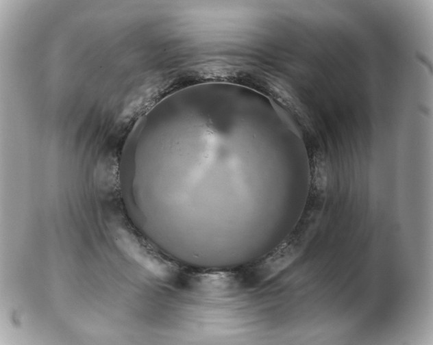 X0000103280411200808291316