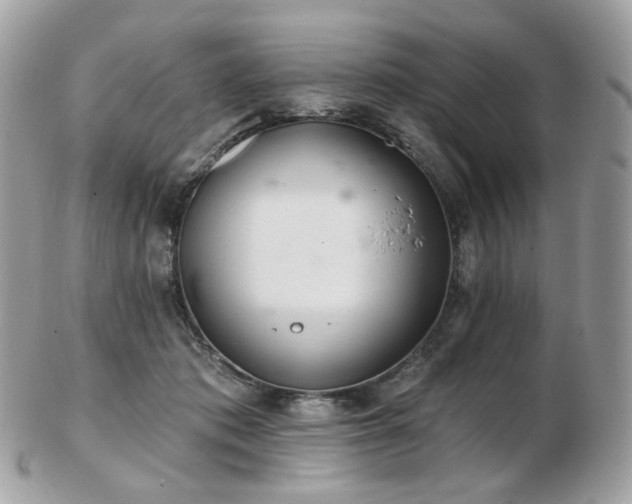 X0000103280413200808291316